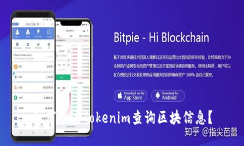 如何通过Tokenim查询区块信息？