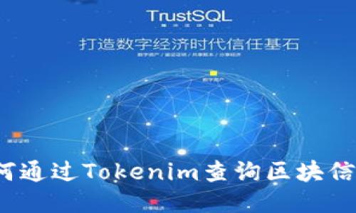 如何通过Tokenim查询区块信息？
