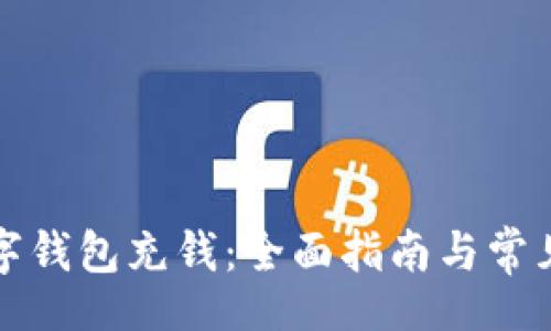 br
怎么往数字钱包充钱：全面指南与常见问题解答