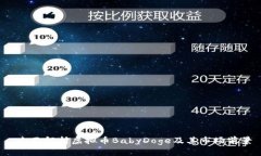  全面解析虚拟币BabyDoge及
