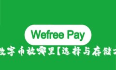 钱包不支持的数字币放哪