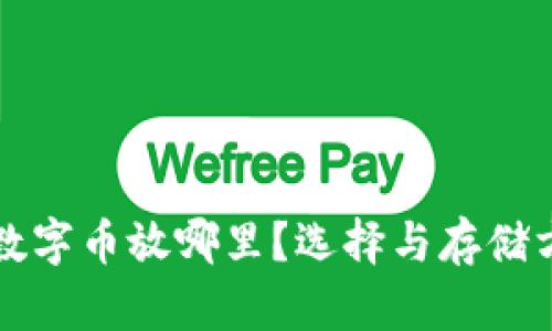 钱包不支持的数字币放哪里？选择与存储方案的详细介绍