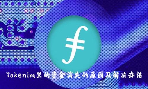 Tokenim里的资金消失的原因及解决办法