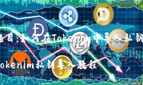 题目：如何在Tokenim中导入私钥？

Tokenim私钥导入教程