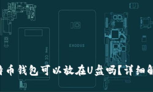 比特币钱包可以放在U盘吗？详细解析!