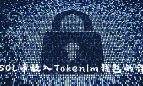 如何将SOL币放入Tokenim钱包的详细指南
