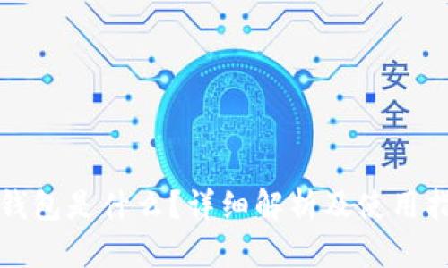 TS钱包是什么？详细解析及使用指南