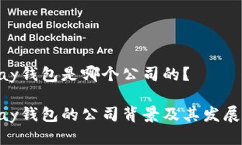 CGPay钱包是哪个公司的？

CGPay钱包的公司背景及其发展概述