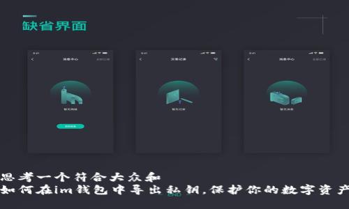 思考一个符合大众和  
如何在im钱包中导出私钥，保护你的数字资产