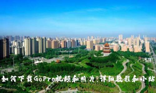 : 如何下载GoPro视频和照片：详细教程和小贴士