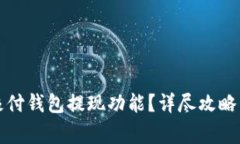 如何高效使用极付钱包提