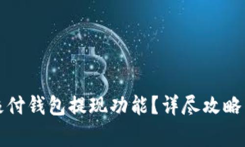 如何高效使用极付钱包提现功能？详尽攻略与常见问题解答