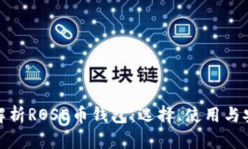 全面解析ROSE币钱包：选择、使用与安全性