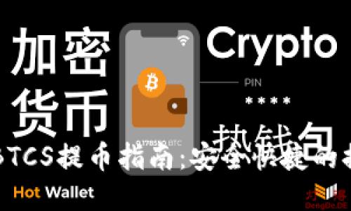 中本聪BTCS提币指南：安全快捷的提币流程