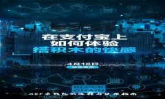 XRP币钱包的选择与使用指