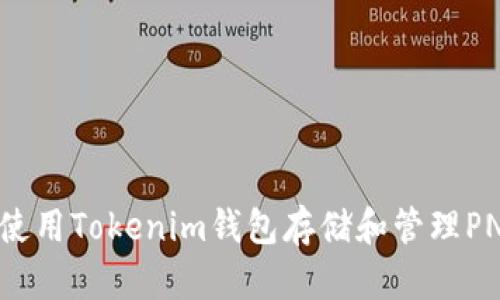 如何使用Tokenim钱包存储和管理PNS币？