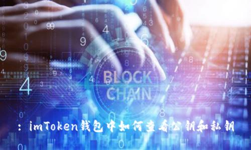 : imToken钱包中如何查看公钥和私钥