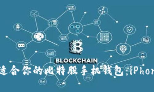 如何选择适合你的比特股手机钱包：iPhone用户指南