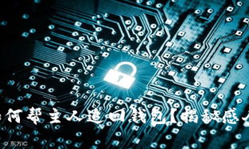 狗狗如何帮主人追回钱包？揭秘感人故事！