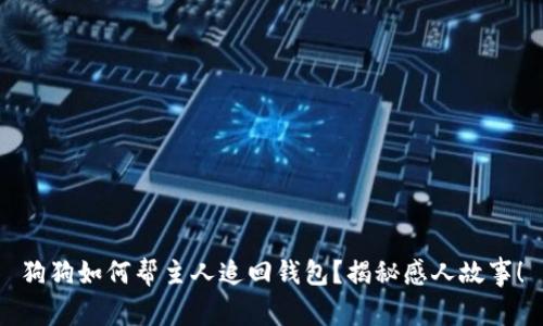 狗狗如何帮主人追回钱包？揭秘感人故事！