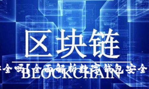 BHPay钱包安全吗？全面解析数字钱包安全性与风险防范