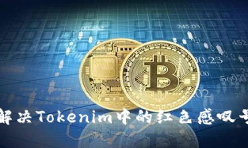 如何解决Tokenim中的红色感叹号问题