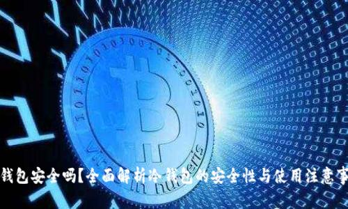 冷钱包安全吗？全面解析冷钱包的安全性与使用注意事项