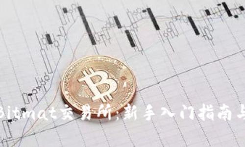 全面解析Bitmat交易所：新手入门指南与投资策略
