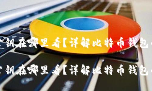 比特币钱包公钥在哪里看？详解比特币钱包的使用与安全

比特币钱包公钥在哪里看？详解比特币钱包的使用与安全