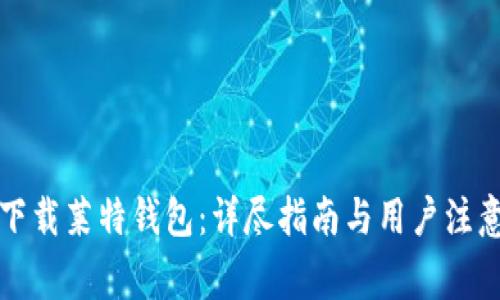 如何下载莱特钱包：详尽指南与用户注意事项