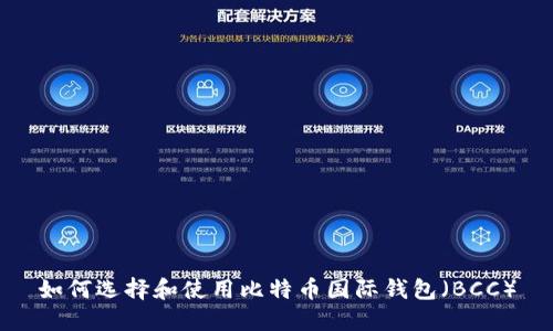 如何选择和使用比特币国际钱包（BCC）