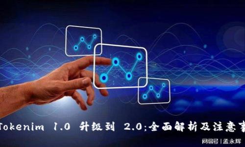 : Tokenim 1.0 升级到 2.0：全面解析及注意事项
