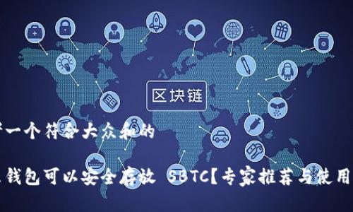 思考一个符合大众和的

什么钱包可以安全存放 SBTC？专家推荐与使用指南