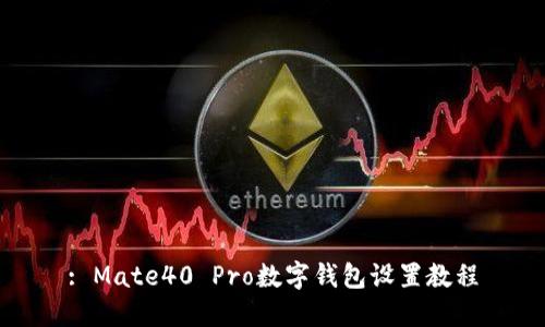 : Mate40 Pro数字钱包设置教程