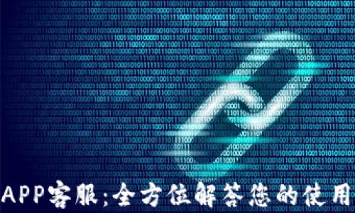 
OKPay钱包APP客服：全方位解答您的使用疑问与问题