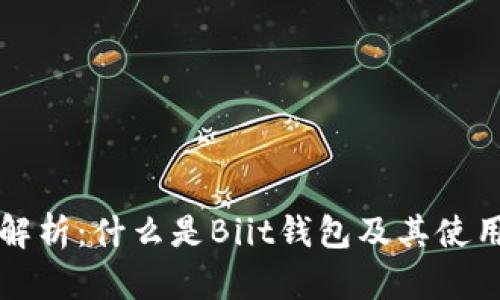全面解析：什么是Biit钱包及其使用指南