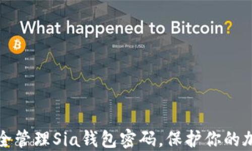 
如何安全管理Sia钱包密码，保护你的加密资产