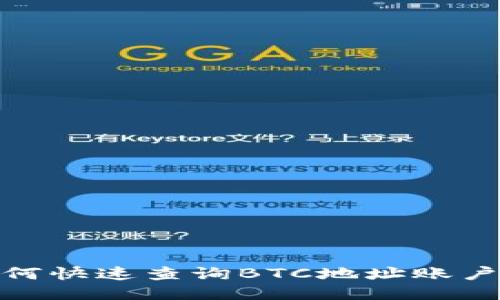 : 如何快速查询BTC地址账户余额