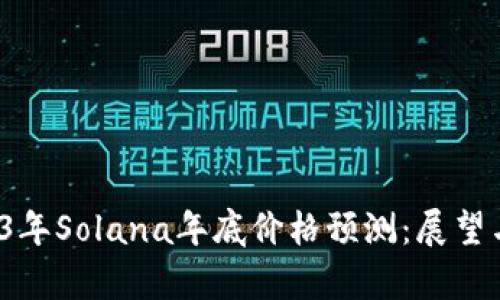  2023年Solana年底价格预测：展望与分析